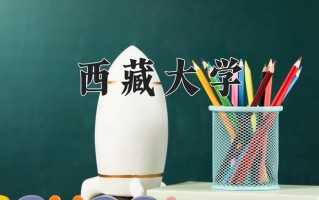 2024西藏大学录取分数线，重庆录取最低分536