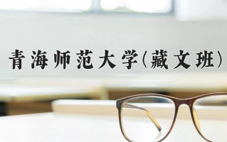 2024年青海师范大学(藏文班)录取分数线，青海最低450分