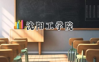 2024沈阳工学院录取分数线：河南最低182分