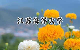 江苏海洋大学2024在上海录取分数线是多少？最低440分/最高461分