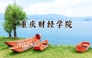 2024重庆财经学院录取分数线：江苏最低490分