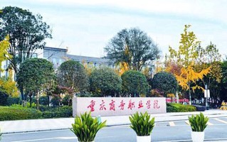 2024重庆商务职业学院录取分数线，重庆录取最低分360