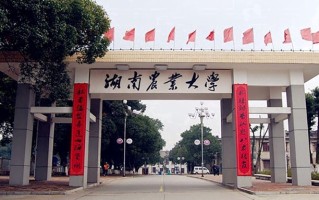 2024年湖南农业大学录取分数线，新疆最低359分
