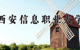 2024西安信息职业大学录取分数线，重庆录取最低分180