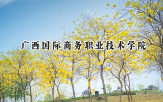 广西国际商务职业技术学院2024在山东录取分数线是多少？最低336分/最高362分