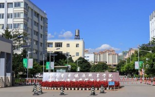 2024云南医药健康职业学院录取分数线：浙江最低410分