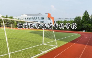 漯河医学高等专科学校2024在山东录取分数线是多少？最低456分/最高470分