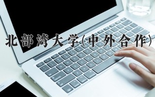 2024年北部湾大学(中外合作)录取分数线，青海最低353分