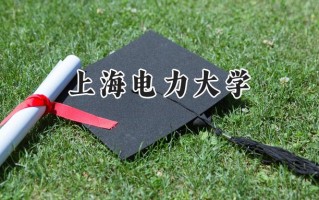 2024上海电力大学录取分数线：天津最低617分