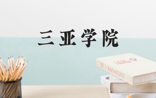 2024年三亚学院录取分数线，宁夏最低373分
