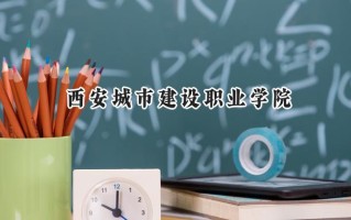 西安城市建设职业学院2024在山东录取分数线是多少？最低334分/最高393分