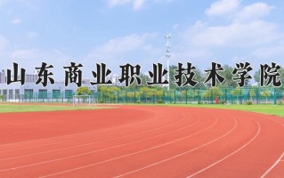 2024山东商业职业技术学院录取分数线：浙江最低444分
