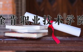2025年金肯职业技术学院在四川计划招生人数（附学费及专业录取分)
