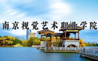2024南京视觉艺术职业学院录取分数线：浙江最低345分