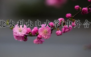2024年华北水利水电大学(中外合作)录取分数线，内蒙古最低409分