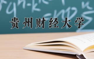 2024贵州财经大学录取分数线，重庆录取最低分515