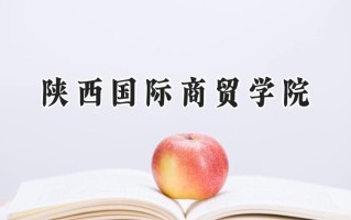 2024陕西国际商贸学院录取分数线：山西最低310分