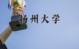 国际商务专业学费多少？附江苏2024年招收的大学