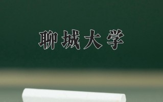 聊城大学最厉害的专业-2024聊城大学最好专业