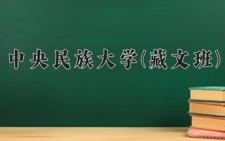 2024年中央民族大学(藏文班)录取分数线，青海最低515分