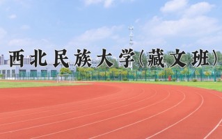 2024年西北民族大学(藏文班)录取分数线，青海最低484分