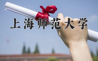 2024上海师范大学录取分数线，重庆录取最低分542