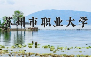 2024苏州市职业大学录取分数线：浙江最低492分