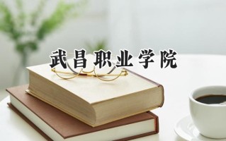 武昌职业学院2024在内蒙古录取分数线是多少？最低324分/最高420分