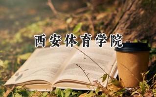2024西安体育学院录取分数线：陕西最低440分