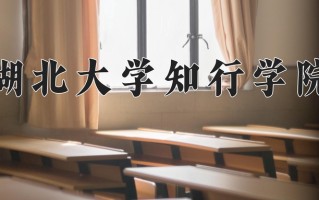 湖北大学知行学院王牌专业有哪些？附2025最新王牌专业排名一览表
