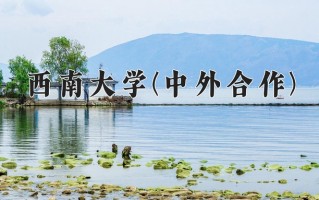 西南大学(中外合作)学费多少钱一年：38000-50000元/年（2025填报参考）