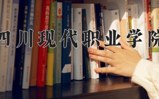 2025年四川现代职业学院在四川计划招生人数（附学费及专业录取分)