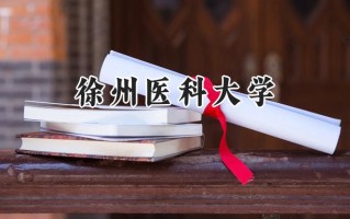 徐州医科大学2024在山东录取分数线是多少？最低557分/最高598分