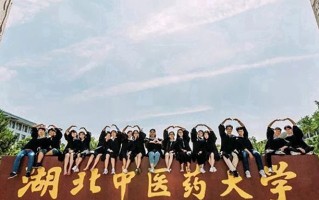 2025年湖北中医药大学学科排名（全国第四轮评估结果）