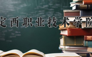 2024年定西职业技术学院录取分数线，新疆最低172分