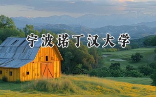 2024宁波诺丁汉大学录取分数线：河南最低534分