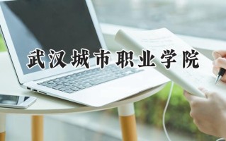 2024武汉城市职业学院录取分数线：山西最低343分
