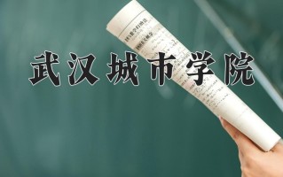 2024年武汉城市学院录取分数线，内蒙古最低367分