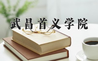 2024年武昌首义学院录取分数线，内蒙古最低375分