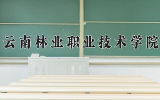 宁夏381分能上什么大学？附2025年可以报考的大学名单