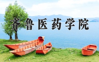 2024齐鲁医药学院录取分数线：浙江最低477分