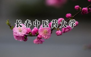 2024长春中医药大学录取分数线：宁夏最低416分