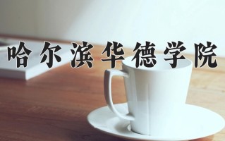哈尔滨华德学院学费多少钱一年：25800-29800元/年（2025填报参考）
