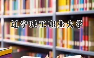 2024辽宁理工职业大学录取分数线：河南最低224分