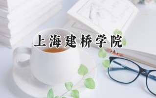 上海建桥学院2024在福建录取分数线是多少？最低413分/最高486分