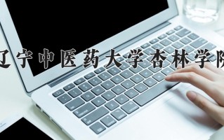 2024年辽宁中医药大学杏林学院录取分数线，青海最低331分