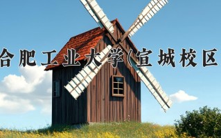 2024年合肥工业大学(宣城校区)录取分数线，青海最低427分