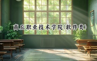 2024商丘职业技术学院(软件类)录取分数线：河南最低271分