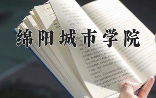 2024绵阳城市学院录取分数线，重庆录取最低分454