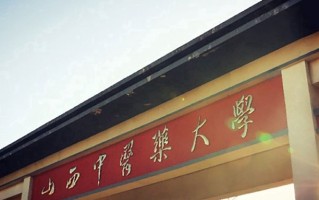 2024山西中医药大学录取分数线，重庆录取最低分519